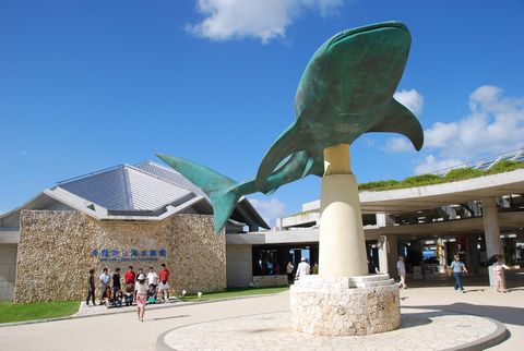 沖縄美ら海水族館