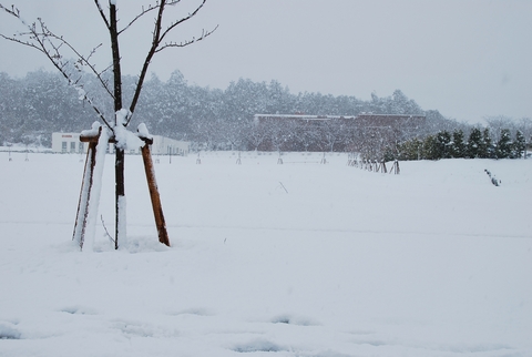 山口大学