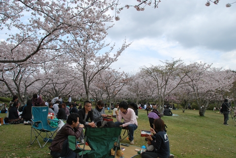 山口大学