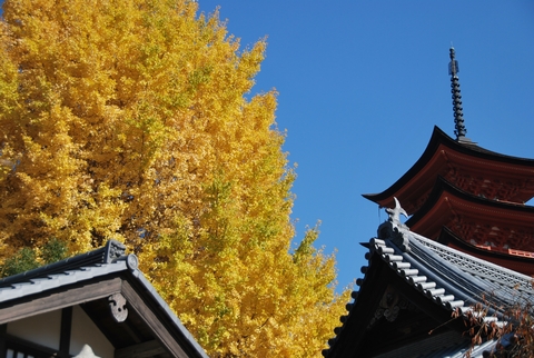 厳島神社