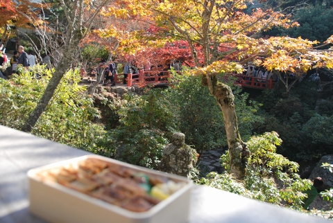 紅葉谷公園