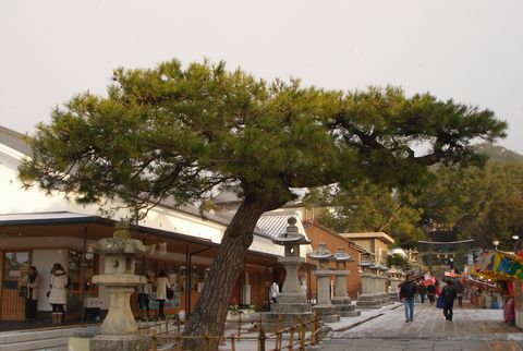 まちの駅