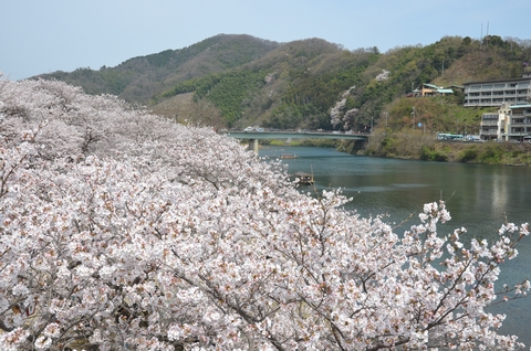 錦川