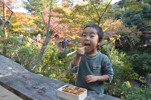 紅葉狩り