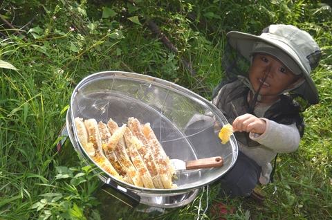 養蜂