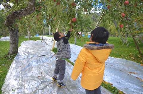 林檎園