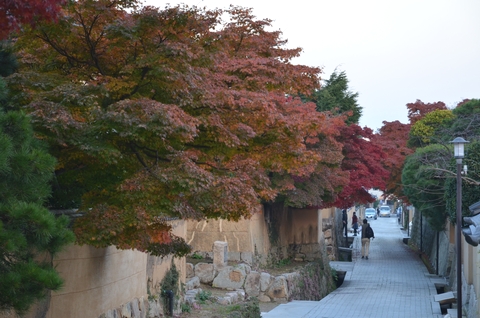 古江小路