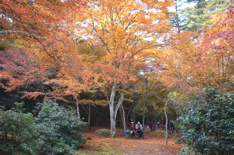 紅葉谷公園