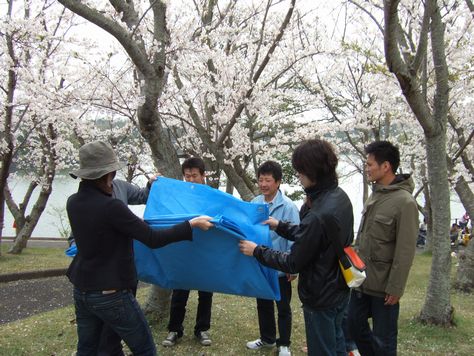 常盤公園を綺麗に