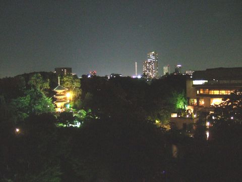 フォーシーズンズホテル椿山荘のデラックスツインガーデンビューからの夜景