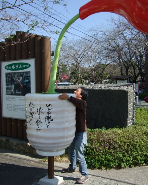 知覧茶