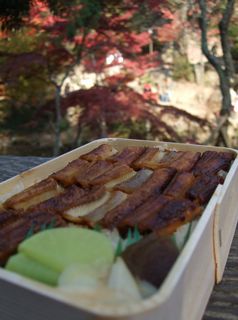 うえのの穴子飯