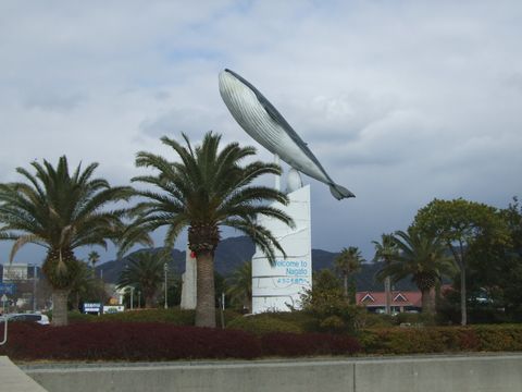 青海島観光基地