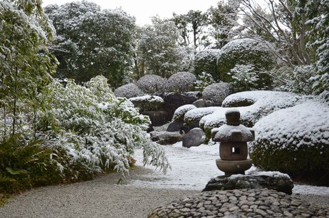 積雪
