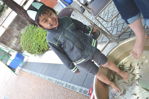 ドクターフィッシュ（ Doctor fish ）