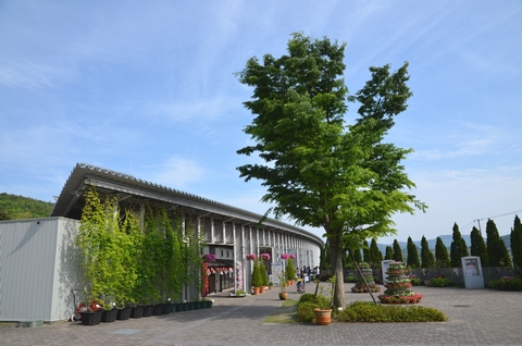 柳井市
