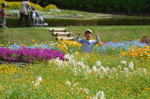 お花畑