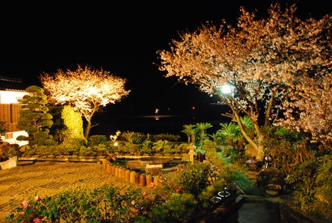 庭園