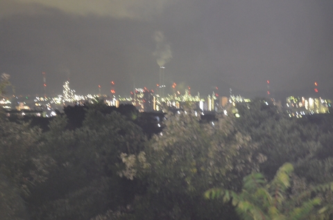 バーベキュー