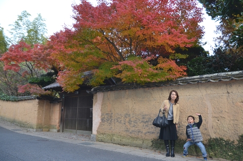 紅葉