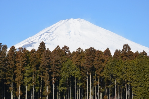 富士高原研修所