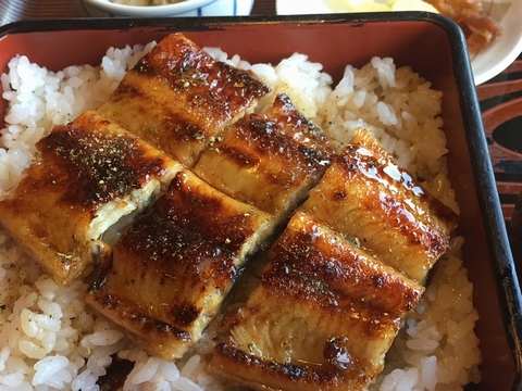 うな重