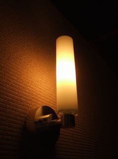 虎丸は人気
